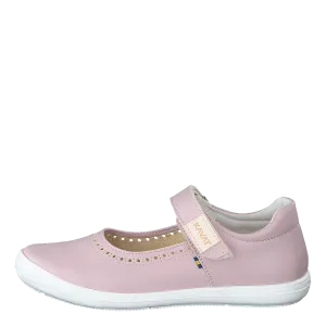 Ammenäs Xc Pink