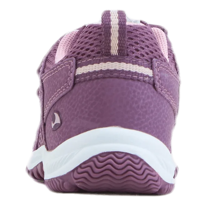 Cascade 2.0 Purple