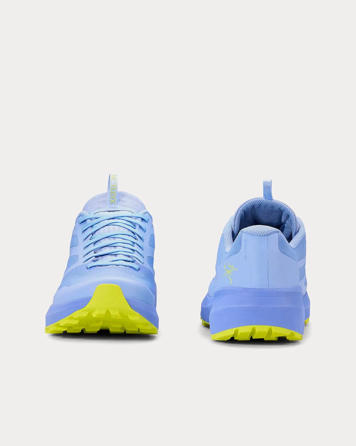 Norvan LD 3 GTX Aeriel / Sprint Running Shoes