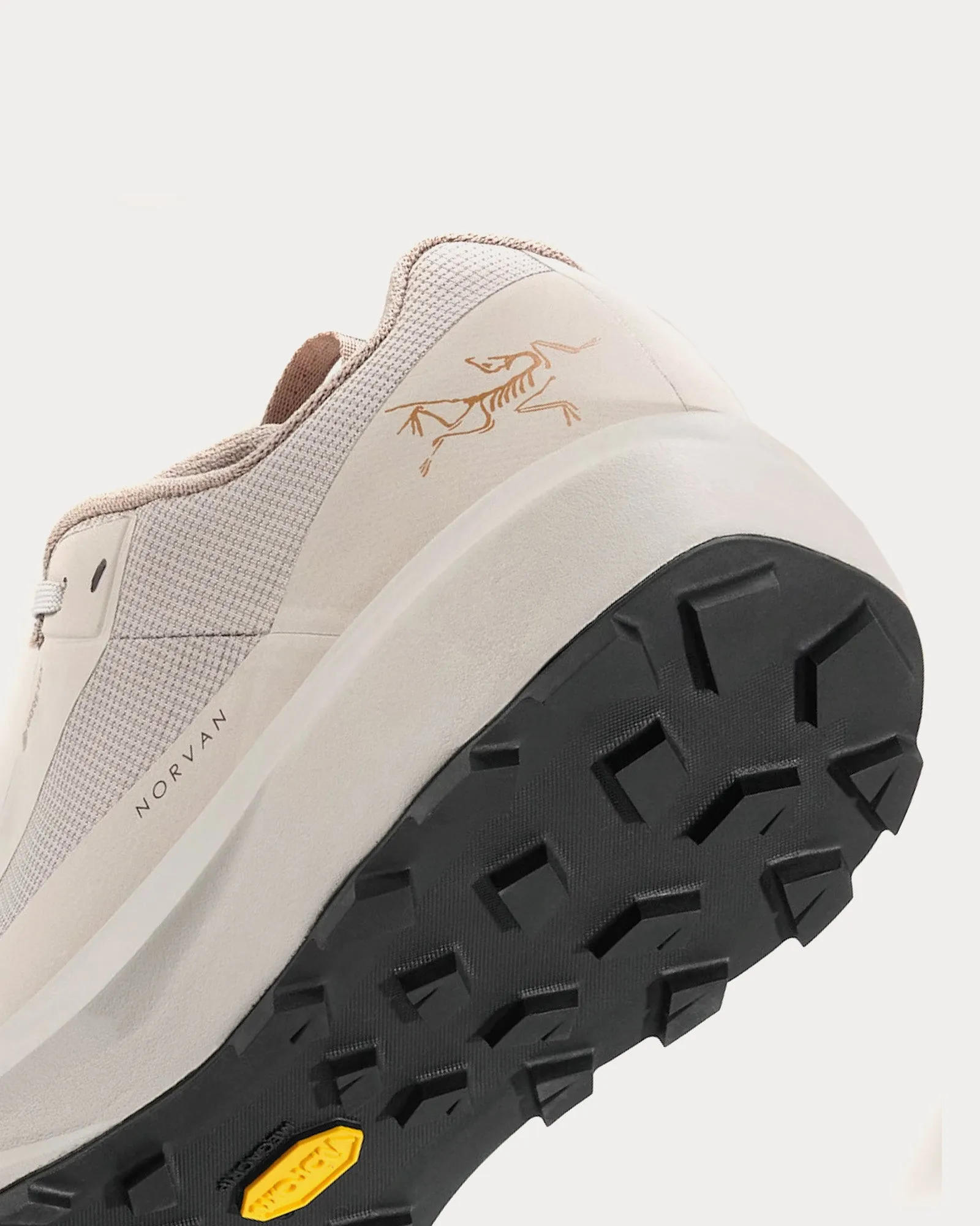 Norvan LD 4 GTX Rune / Rune Running Shoes