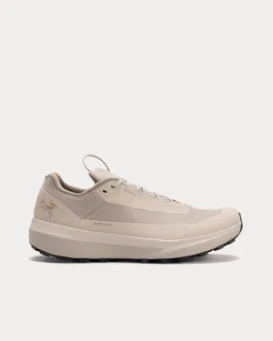Norvan LD 4 GTX Rune / Rune Running Shoes