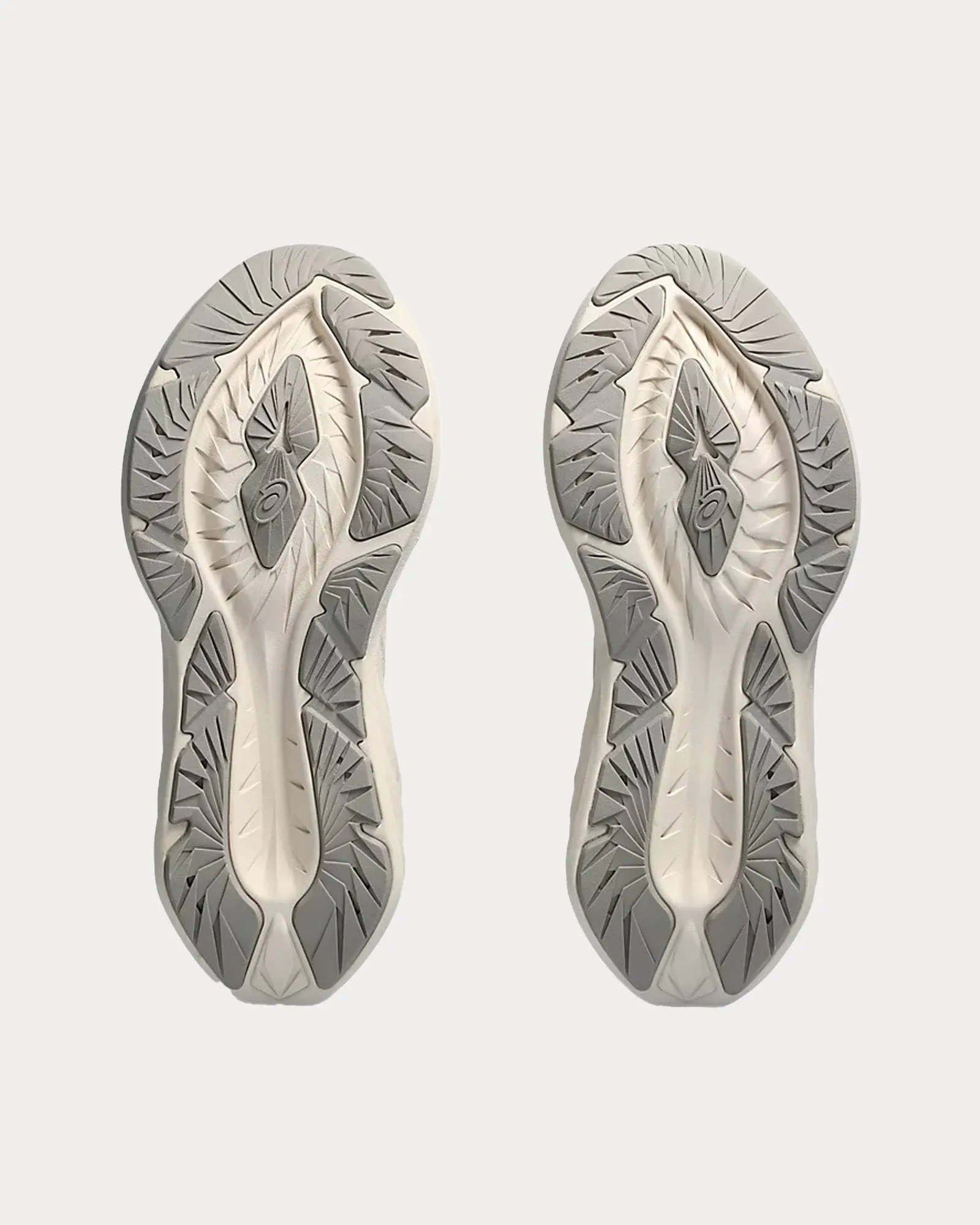 Novablast 4 Oatmeal / Moonrock Running Shoes