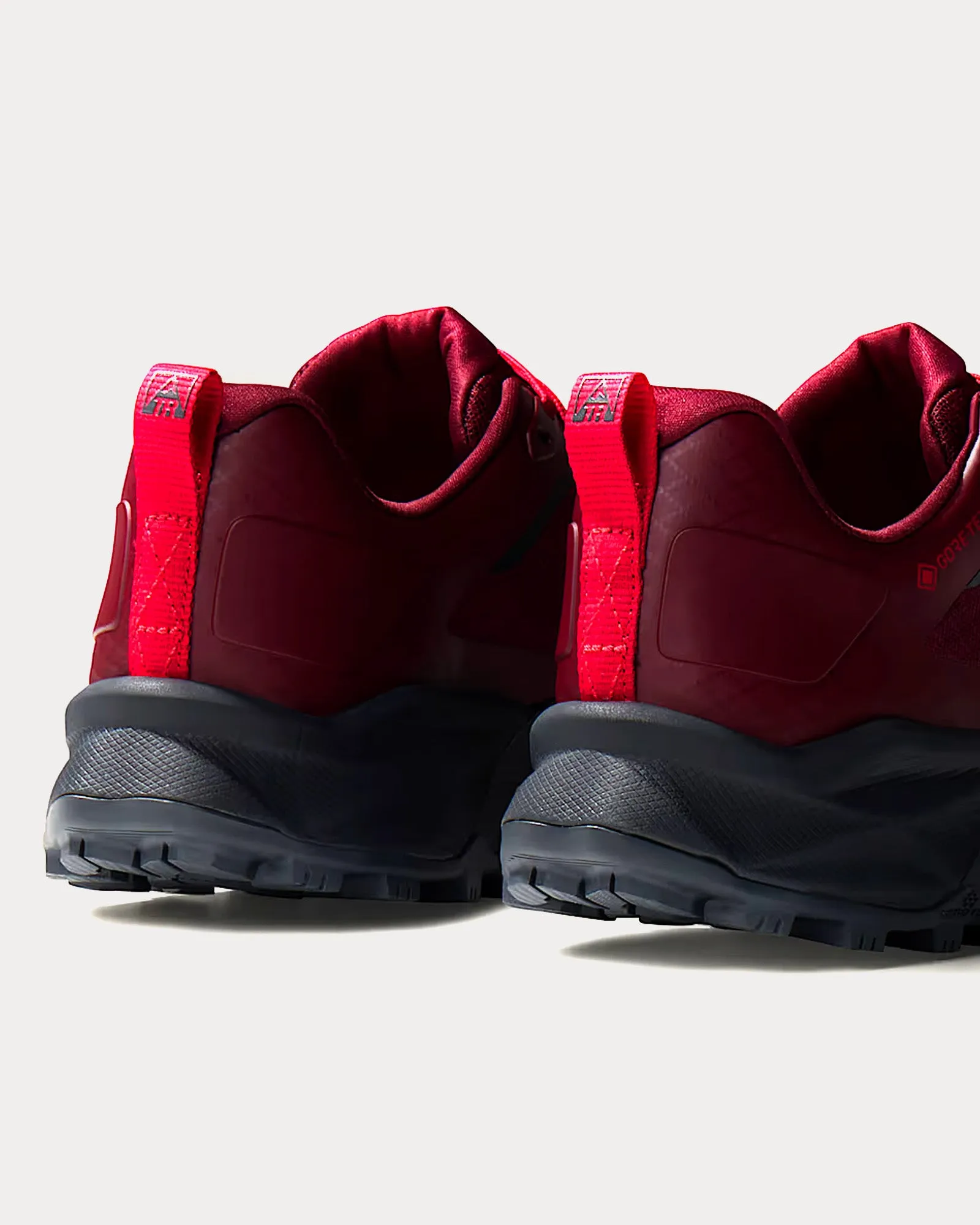 Offtrail TR Gore-Tex Trail Alpine Plum / Asphalt Grey Running Shoes