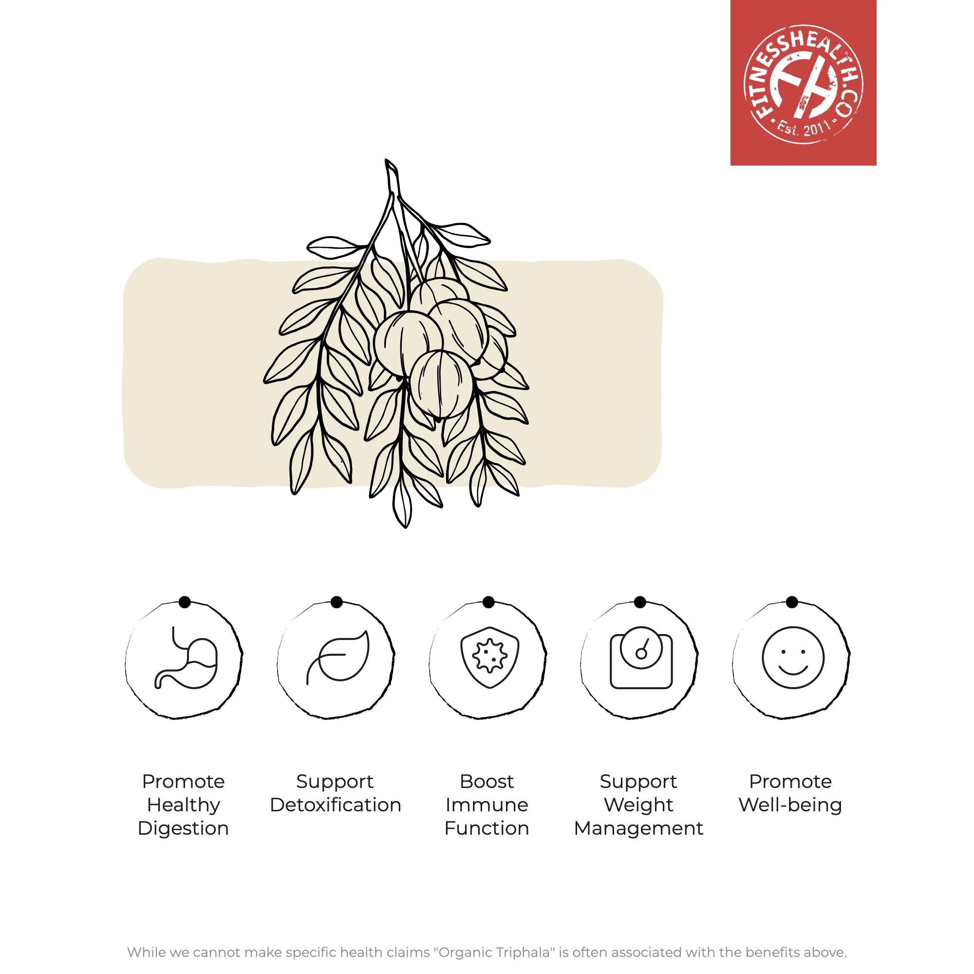 Triphala Powder (Amla Bibhitaki   Haritaki)